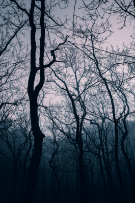 Loeka Horsman fotografie fotograaf Noord-Holland portretfotograaf professional portrait portret portretfotografie kunst art fashion editorial alternative photography horror mist goth landscape 