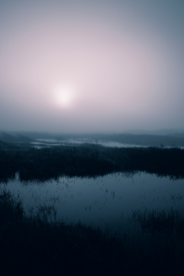 Loeka Horsman fotografie fotograaf Noord-Holland portretfotograaf professional portrait portret portretfotografie kunst art fashion editorial alternative photography goth landscape mist 