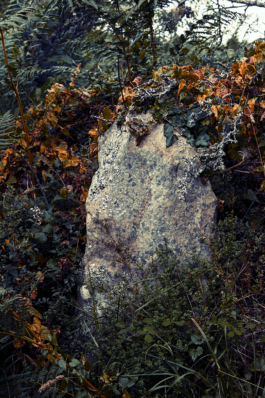 Loeka Horsman fotografie fotograaf Noord-Holland portretfotograaf professional portrait portret portretfotografie kunst art fashion editorial alternative photography Mystic Bretagne