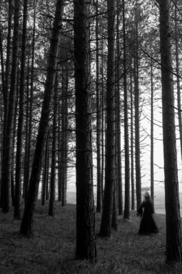 Loeka Horsman fotografie fotograaf Noord-Holland portretfotograaf professional portrait portret portretfotografie kunst art fashion editorial alternative photography Wood Witch Zoë 