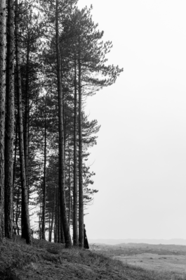 Loeka Horsman fotografie fotograaf Noord-Holland portretfotograaf professional portrait portret portretfotografie kunst art fashion editorial alternative photography Wood Witch Zoë 