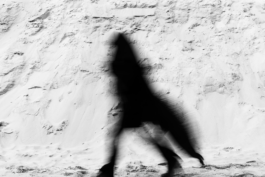 Loeka Horsman fotografie fotograaf Noord-Holland portretfotograaf professional portrait portret portretfotografie kunst art alternative photography Shadow Walker 