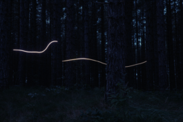 Loeka Horsman, fotografie, fotograaf, Noord-Holland, portretfotograaf, professional, portrait portret portretfotografie kunst art fashion editorial alternative photography, Dwaallicht, Will-o'-the-wisp 