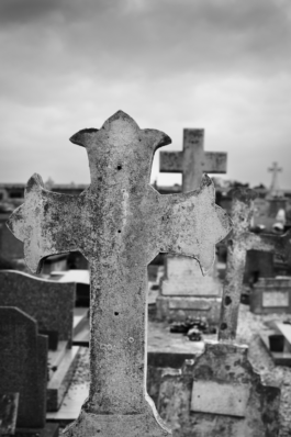 Loeka Horsman fotografie fotograaf Alkmaar Noord-Holland portretfotograaf professional portrait portret portretfotografie kunst art fashion editorial alternative photography 