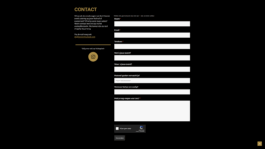 Website Simpele Wordpress website Loeka Horsman fotografie fotograaf Alkmaar Noord-Holland portretfotograaf professional portrait portret portretfotografie kunst art fashion editorial alternative photography De 2 Heeren